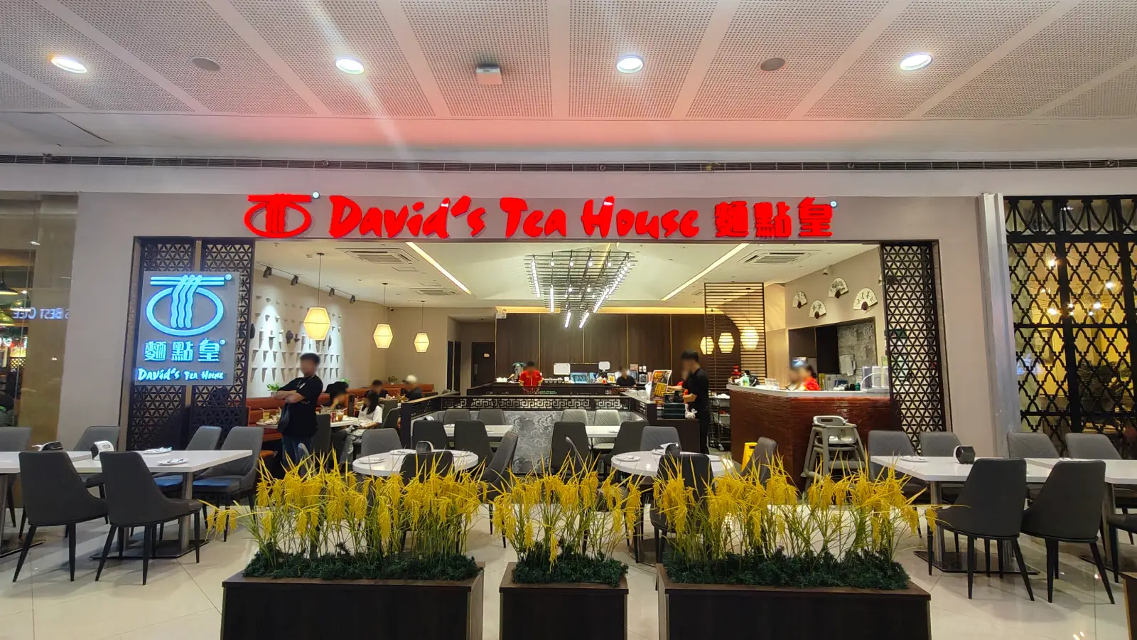 DAVID'S TEA HOUSE in SM Mall of Asia